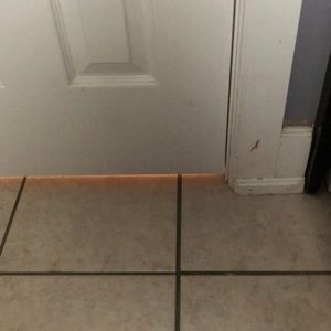 Meet your Posher, Katy